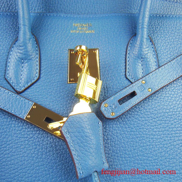 Hermes 35cm Embossed Veins Leather Bag Bule 6089 Gold Hardware